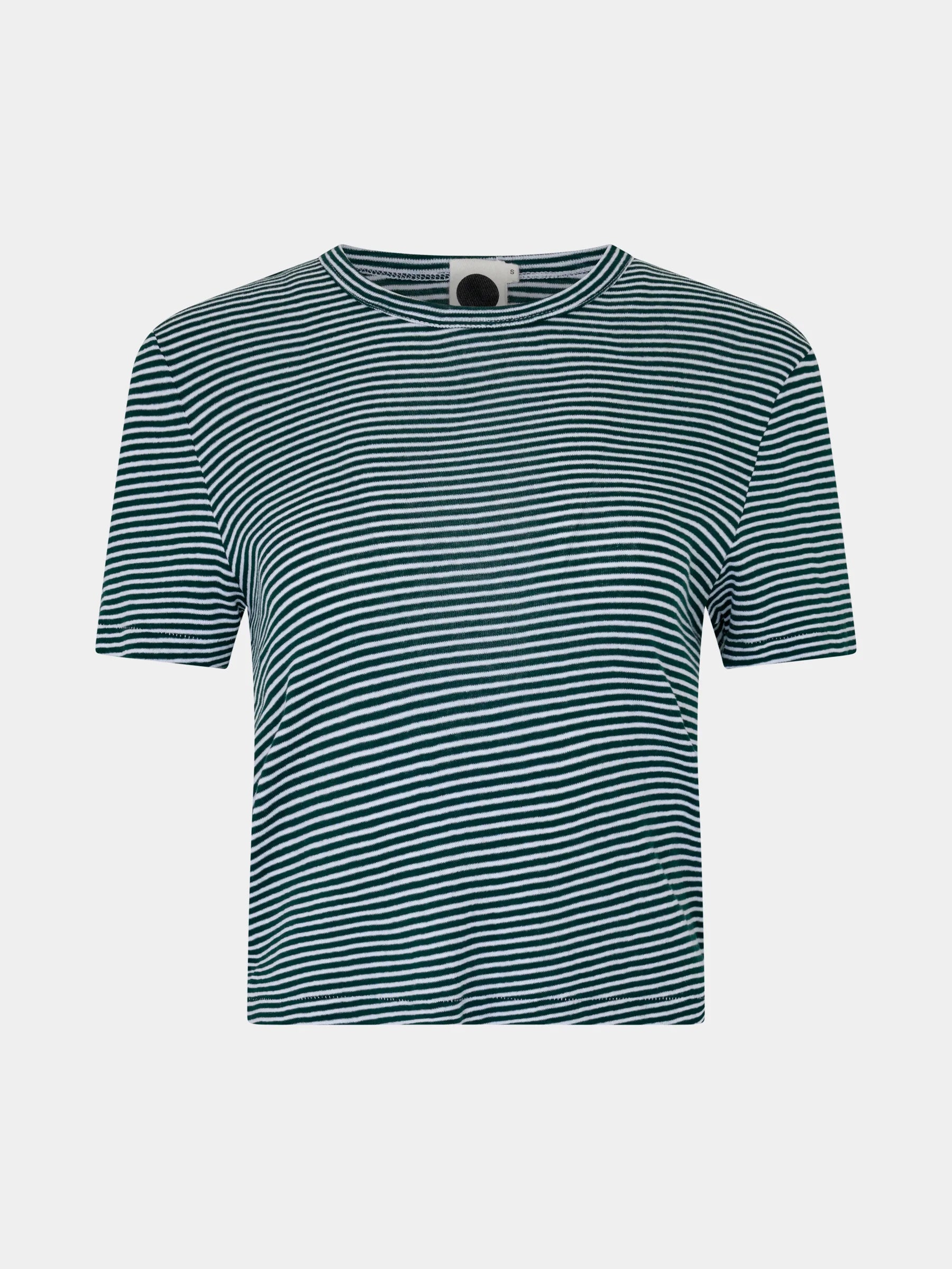 Stripe Rib Baby T-Shirt in Dark Forest/White