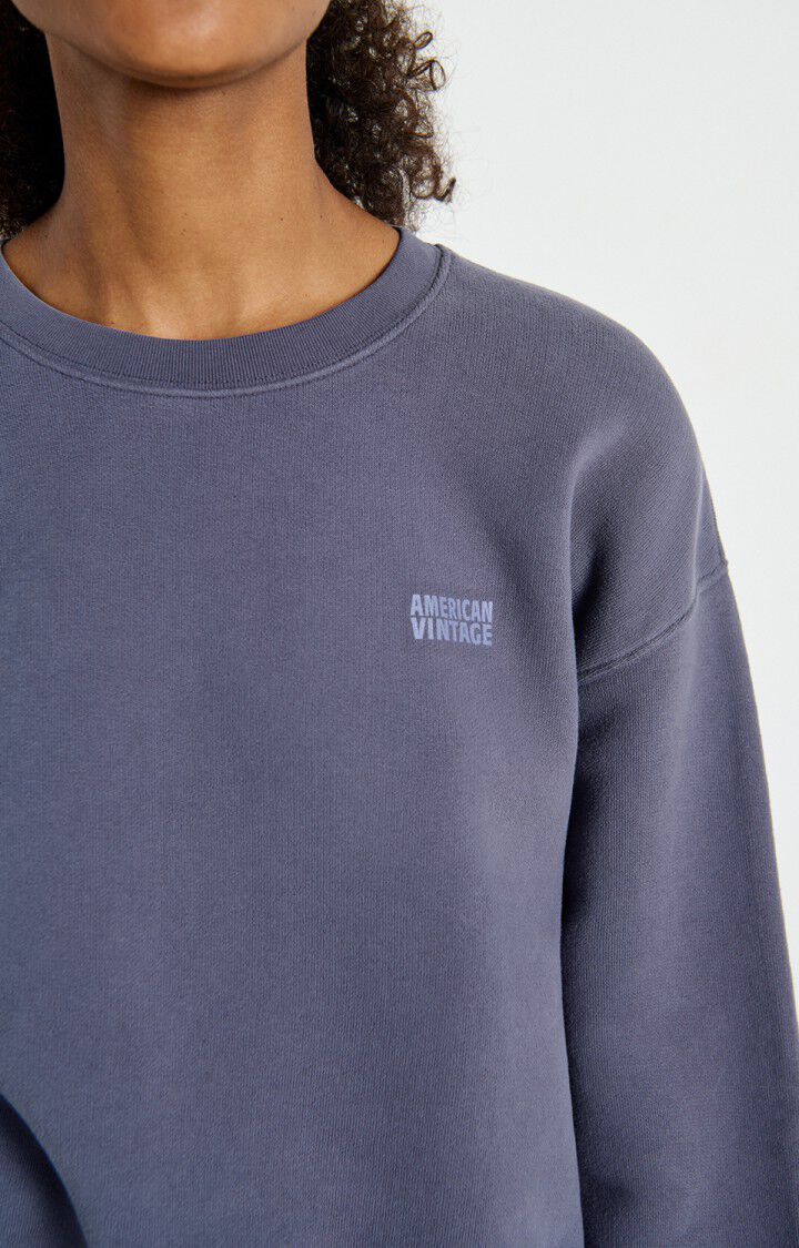 Izubird Sweatshirt in Vintage Cyclone