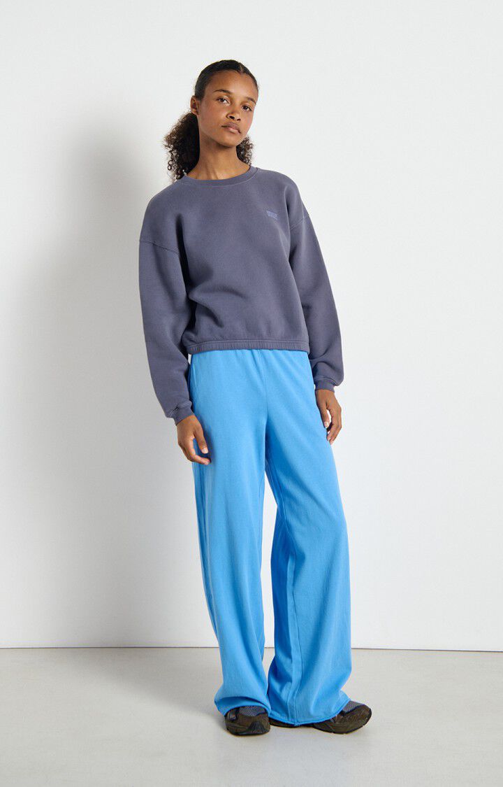Izubird Sweatshirt in Vintage Cyclone